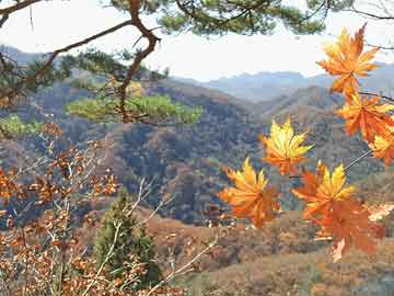 南通房產(chǎn)最新動(dòng)態(tài)及趨勢(shì)解析